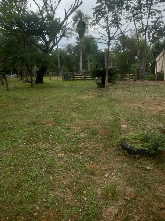 38 HECTAREAS DE CAMPO EN LOMA GRANDE