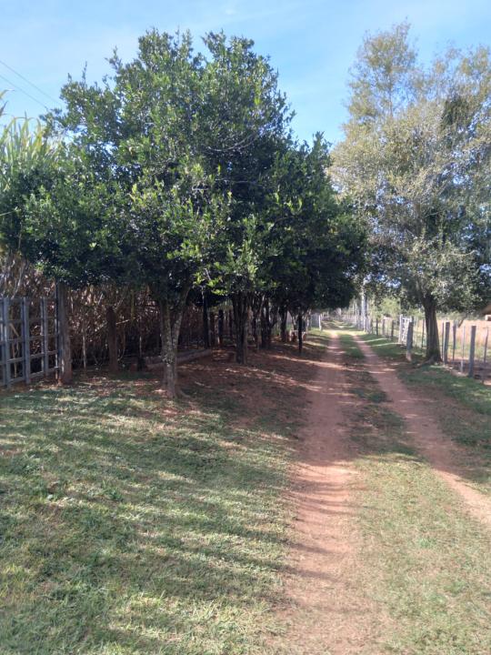 3,5 HA. DE CAMPO EN ALTOS-ZONA TUCANGUA CAÑADA