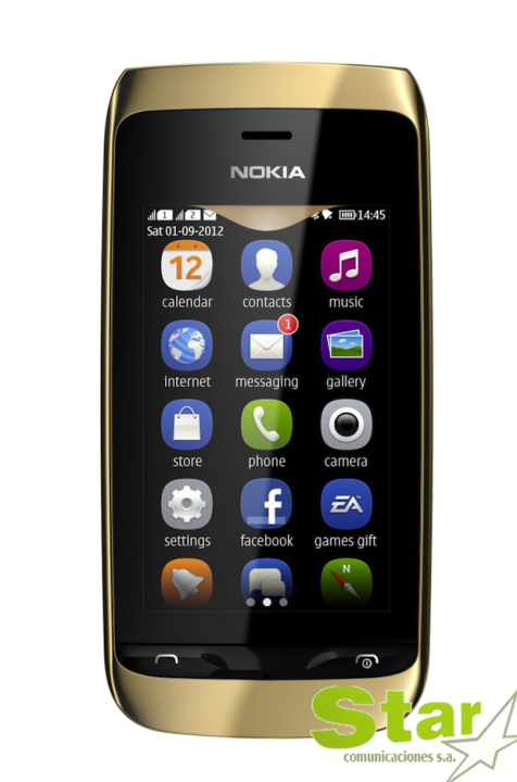 Nokia Asha 308 Dual Sim
