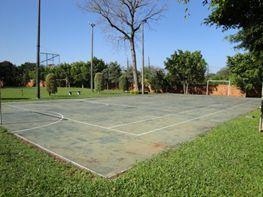 Canchas