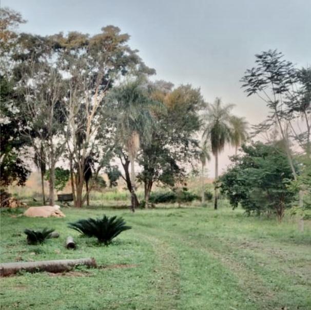Granja Agrícola/Ganadera en Paraguari - 10 Ha.