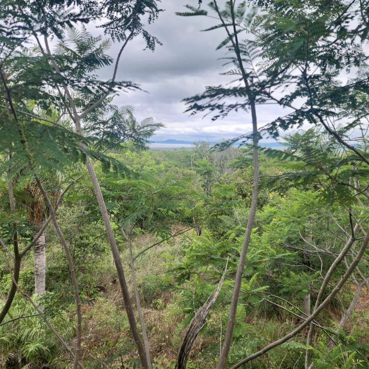 5,5 HA. PROPIEDAD EN SAN BERNARDINO - CIA. MATIAUDA