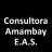 Consultora Amambay